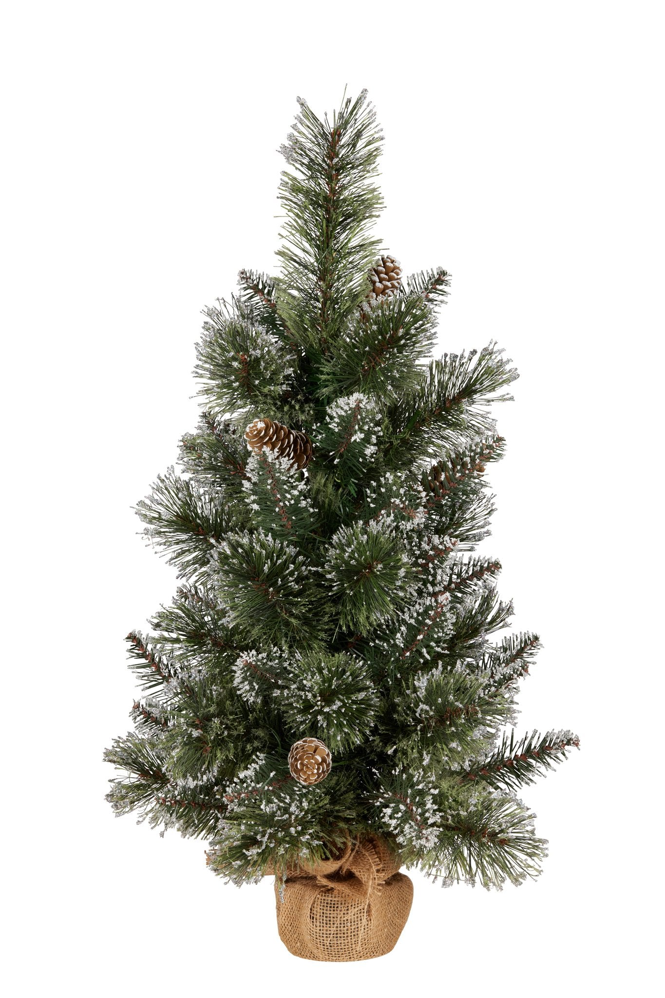 2ft Christmas Tree with Lights - Potted Cashmere